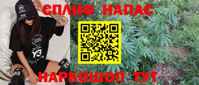 спиды Гудермес