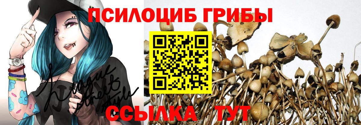 Галлюциногенные грибы мицелий Рязань